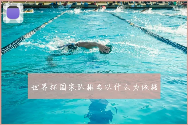 世界杯国家队排名以什么为依据