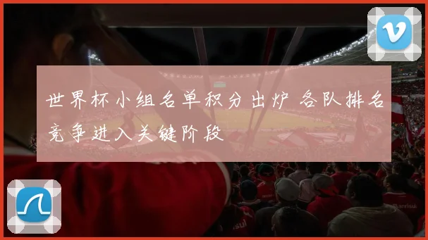 世界杯小组名单积分出炉 各队排名竞争进入关键阶段
