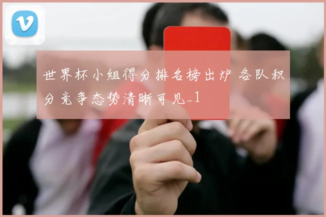 世界杯小组得分排名榜出炉 各队积分竞争态势清晰可见_1