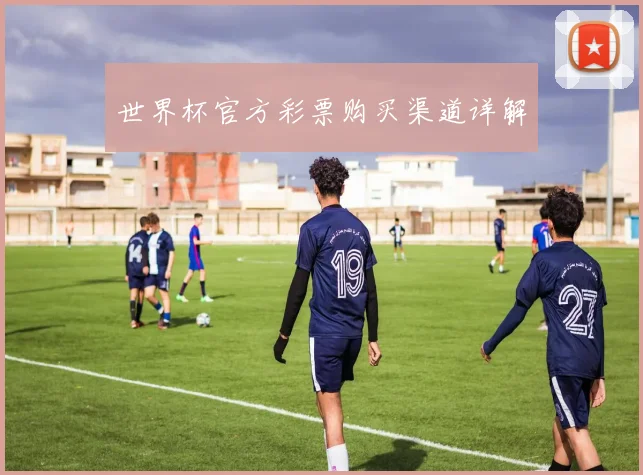 世界杯官方彩票购买渠道详解